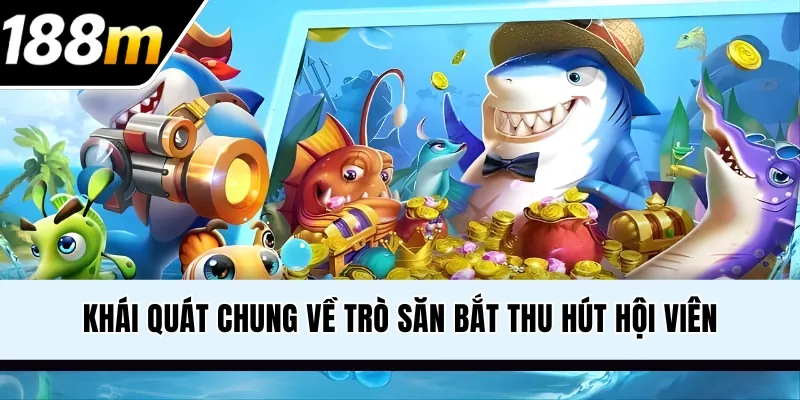 Khái quát chung về trò săn cá thu hút hội viên